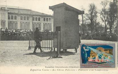 / CPA FRANCE 13 "Marseille, exposition Canine" / CHIENS POLICIERS