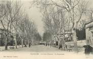 13 Bouch Du Rhone / CPA FRANCE 13 "Tarascon, le cours National, la promenade"