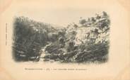 13 Bouch Du Rhone / CPA FRANCE 13 "Roquefavour, la vallée Saint Honorat"