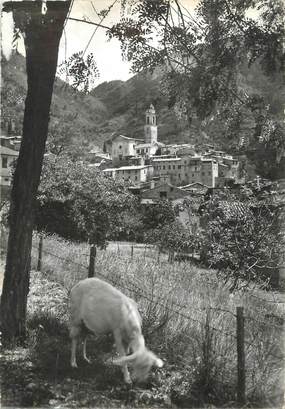 / CPSM FRANCE 06 "Lucéram, village médiéval" / CHEVRE