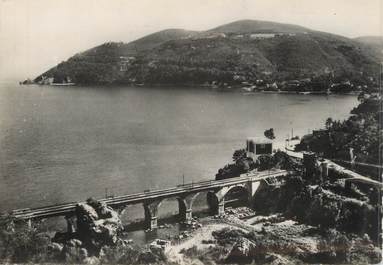 / CPSM FRANCE 06 "La Napoule, vue prise du château de Théoule"