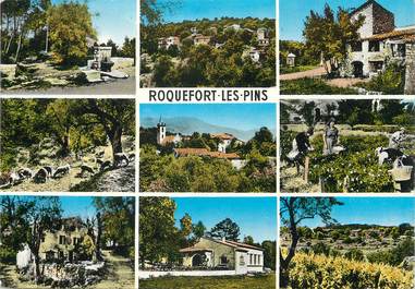 / CPSM FRANCE 06 "Roquefort les Pins"