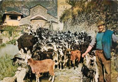 / CPSM FRANCE 06 "Saorge transhumance sur les Drailles" / CHEVRE