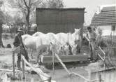 13 Bouch Du Rhone / CPSM FRANCE 13 "Arles, en camargue" / CHEVAUX