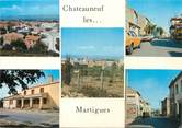 13 Bouch Du Rhone / CPSM FRANCE 13 "Chateauneuf les Martigues"