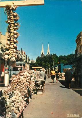 / CPSM FRANCE 13 "Marseille, marché aux Aulx"