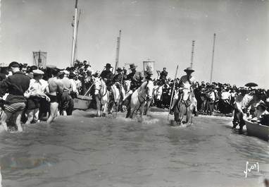 / CPSM FRANCE 13 "Les Saintes Maries de la Mer, Guardians de Camargue" / CHEVAUX