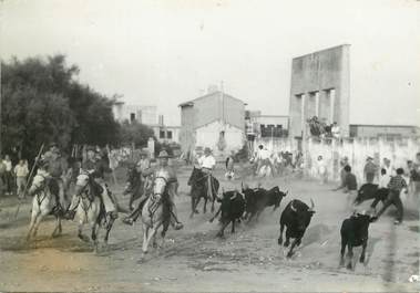 / CPSM FRANCE 13 "Les Saintes Maries de la Mer, bandido" / CHEVAUX