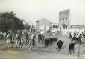 13 Bouch Du Rhone / CPSM FRANCE 13 "Les Saintes Maries de la Mer, bandido" / CHEVAUX