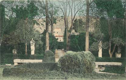 CPA FRANCE 83 "Draguignan, jardin des Plantes"