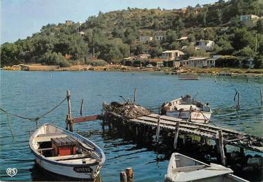 / CPSM FRANCE 13 "Le Ranquet, sur les bords de l'étang de Berre"