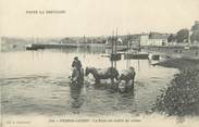 22 Cote D'armor / CPA FRANCE 22 "Perros Guirec, la rade un matin de calme" / PRECURSEUR, avant 1900 / CHEVAUX