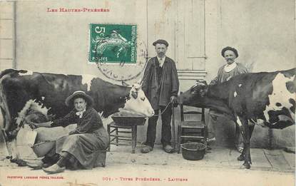 / CPA FRANCE 65 "Types Pyrénéens Laitiers" / VACHES