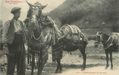 / CPA FRANCE 65 "Les Pyrénées, conducteurs de mulets" / PRECURSEUR, avant 1900 