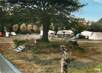 / CPSM FRANCE 14 "Trouville" / CAMPING