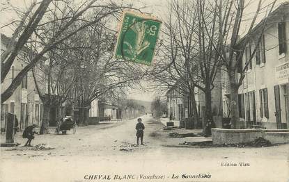 / CPA FRANCE 84 "Cheval Blanc, la Cannebière"