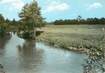 / CPSM FRANCE 14 "Saint Julien le Faucon, les bords de la vie"