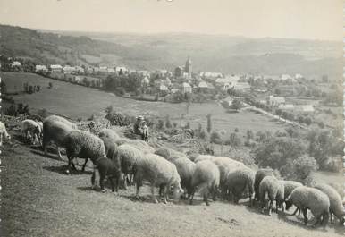 / CPSM FRANCE 15 "Oradour, vue générale" / MOUTONS