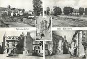 15 Cantal / CPSM FRANCE 15 "Salers"