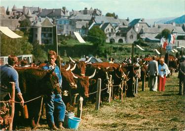 / CPSM FRANCE 15 "Salers, jour de foire" 