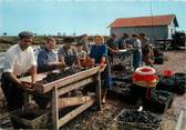 17 Charente Maritime / CPSM FRANCE 17 "Brouage, le triage des moules"