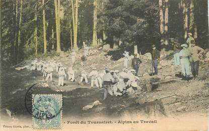 CPA  CHASSEUR ALPIN " Foret du Tournairet, alpins au travail"