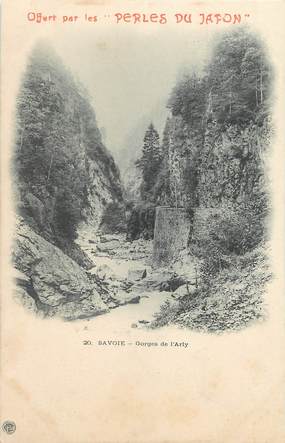 / CPA FRANCE 73 "Gorges de l'Arly"