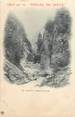 73 Savoie / CPA FRANCE 73 "Gorges de l'Arly"