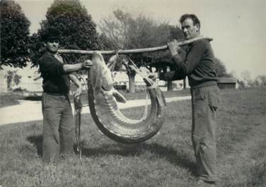 / CPSM FRANCE 17 "Chenac Saint Seurin d'Uzet, le poisson aux oeufs d'or, l'esturgeon" / PÊCHE