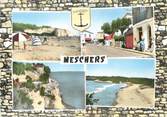 17 Charente Maritime / CPSM FRANCE 17 "Meschers "
