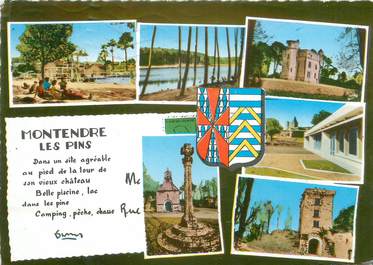 / CPSM FRANCE 17 "Montendre les Pins "