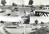 17 Charente Maritime / CPSM FRANCE 17 "L'Eguille sur Seudre"