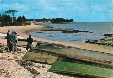 / CPSM FRANCE 17 "Ile de Ré, les abords de Rivedoux"