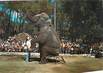 / CPSM FRANCE 17 "Royan, Parc Zoologique La Palmyre Royan" / ELEPHANT