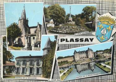 / CPSM FRANCE 17 "Plassay"