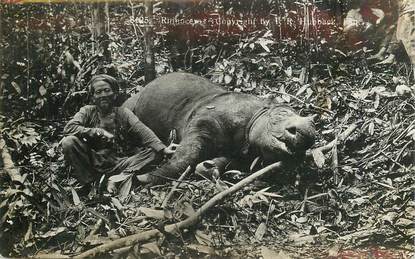   CPA  INDONESIE "Chasse au Rhinocéros"