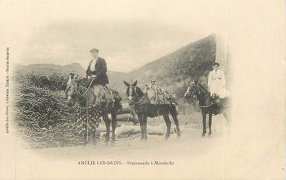 CPA FRANCE 66 "Amélie les Bains, promenade à Mont Bolo" / ÂNE