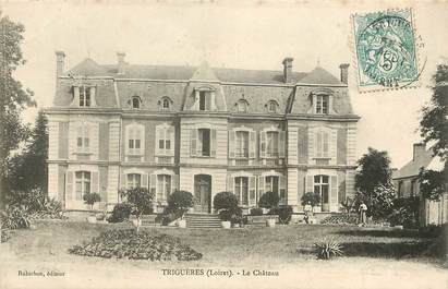 CPA FRANCE 45 "Triguères, le chateau"