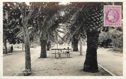 / CPSM FRANCE 83 "Saint Cyr sur Mer, La place des Palmiers"