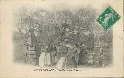 / CPA FRANCE 13 "En provence, cueillette des olives"