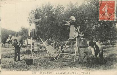 / CPA FRANCE 13 "En provence, cueillette des olives "