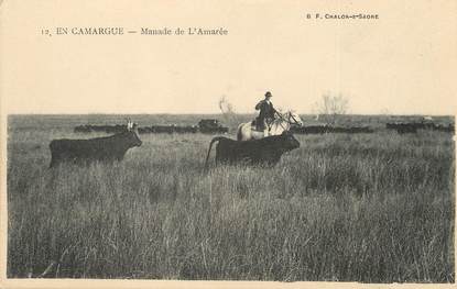 / CPA FRANCE 13 "En Camargue, manade de l'Amarée"