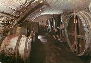 / CPSM FRANCE 18 "Sancerre, intérieur de la cave de Mr Mellot"