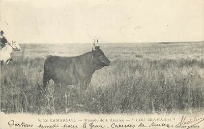 CPA FRANCE 13 "En Camargue, manade de l'Amarée Lou Bramairo" / TAUREAU