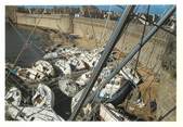 29 Finistere CPSM FRANCE 29 "Concarneau, le port de plaisance après l'Ouragan 1987"