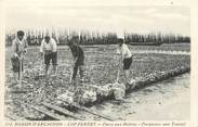 33 Gironde CPA FRANCE 33 "Bassin d'Arcachon, Cap Ferret, parcs aux huitres"