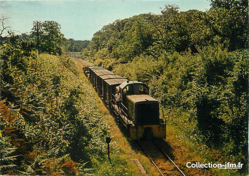 tulle train