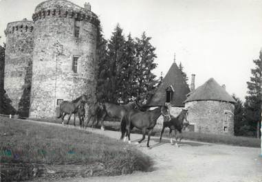 CPSM FRANCE 19 "Haras National de Pompadour' / CHEVAUX