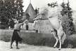 CPSM FRANCE 19 "Haras National de Pompadour' / CHEVAL