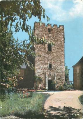CPSM FRANCE 19 "Queyssac Les Vignes, hôtel Giscard, tour de l'ancien Château"